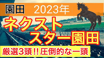 【ネクストスター園田2023】地方競馬予想　展開が向く馬